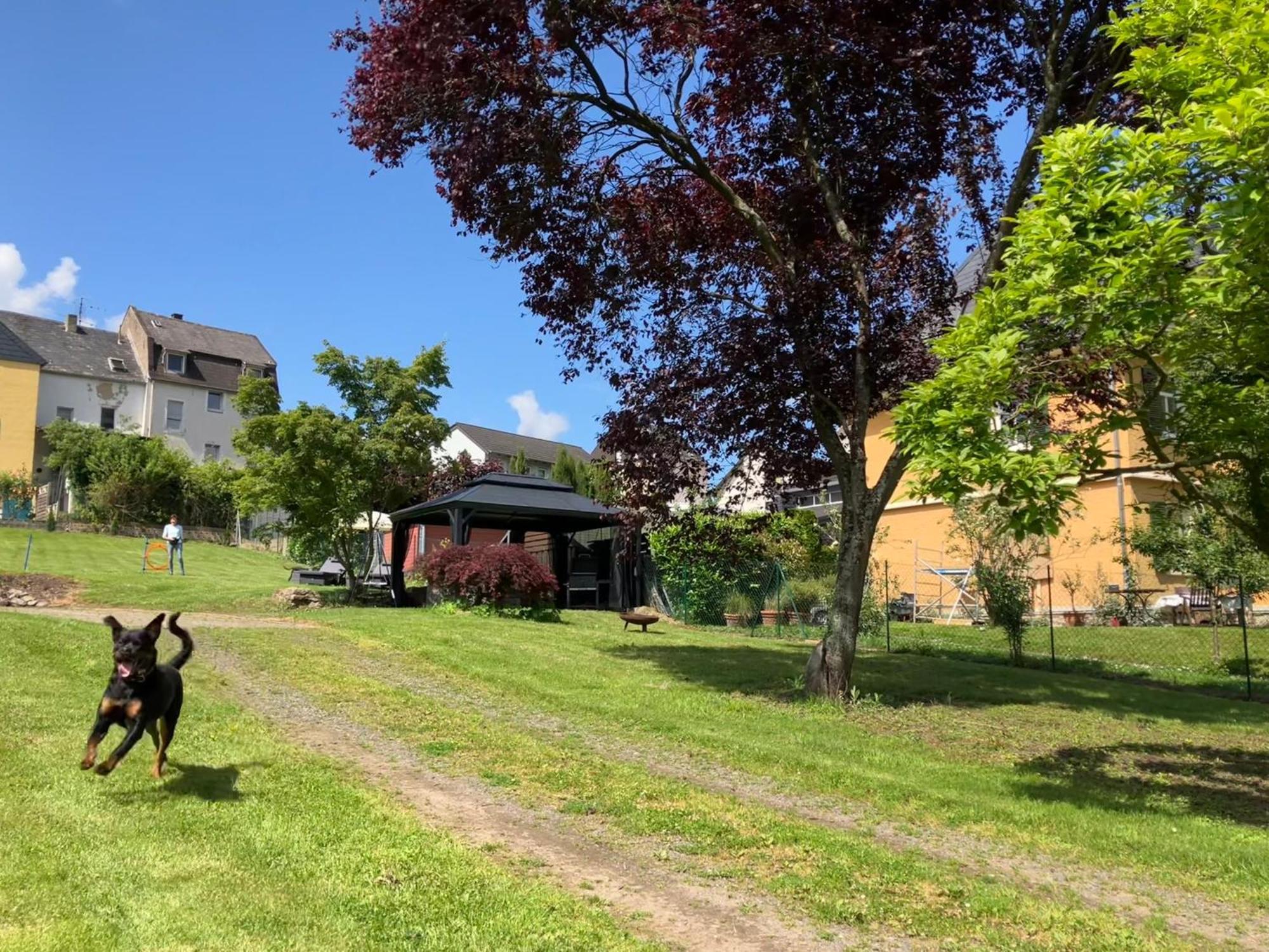 Neu - Ferienwohnungen Im Winzergarten Traben-Trarbach Bagian luar foto